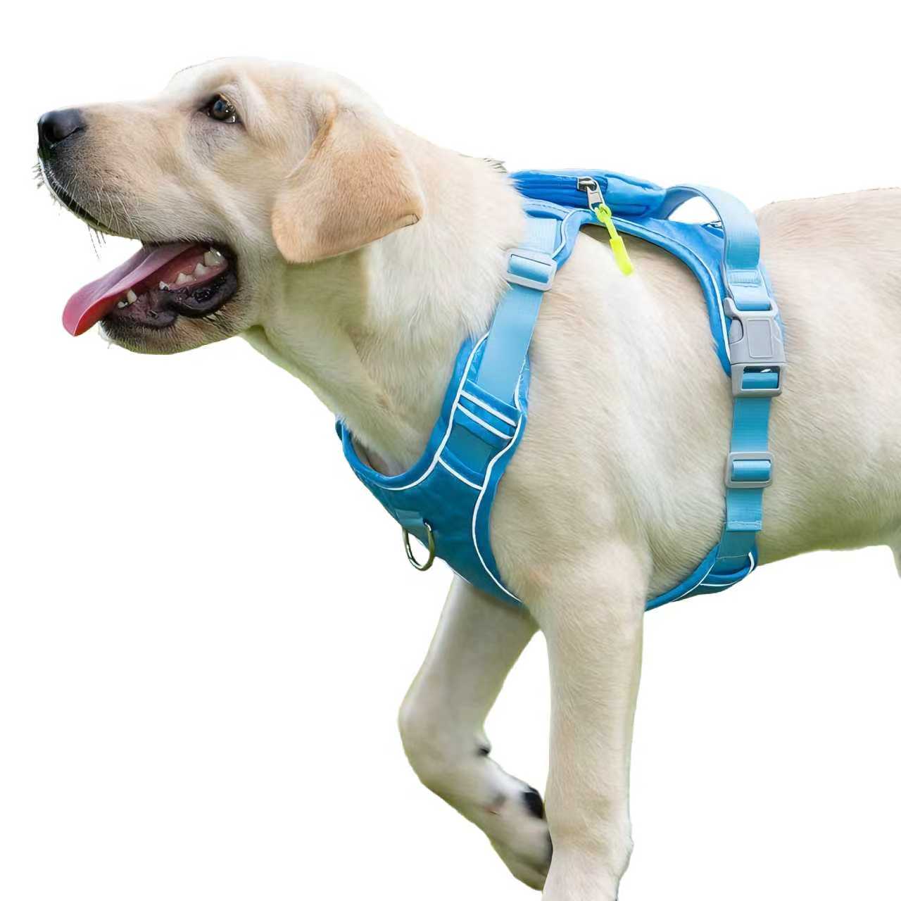 Waterproof & Anti-Pull Adventure Harness with Mini Backpack(Sky Blue)