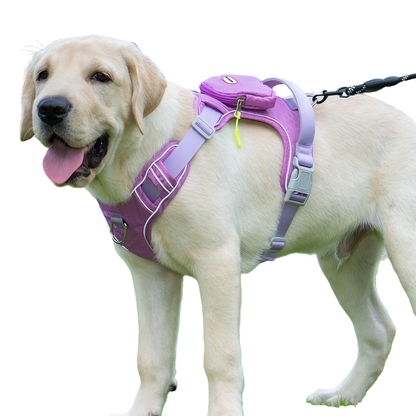 Waterproof & Anti-Pull Adventure Harness with Mini Backpack(Berry Purple)