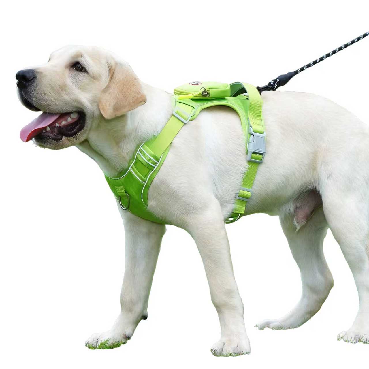Waterproof & Anti-Pull Adventure Harness with Mini Backpack(Mint Green)
