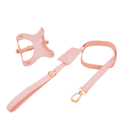 Small Dog PU Leather Harness & Leash Set (Fits Chest 26-50cm)(Strawberry Milk Pink)