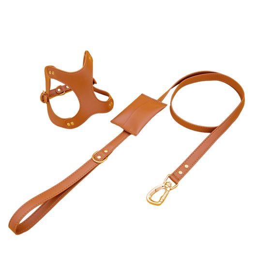 Small Dog PU Leather Harness & Leash Set (Fits Chest 26-50cm)(Little Teddy Brown)