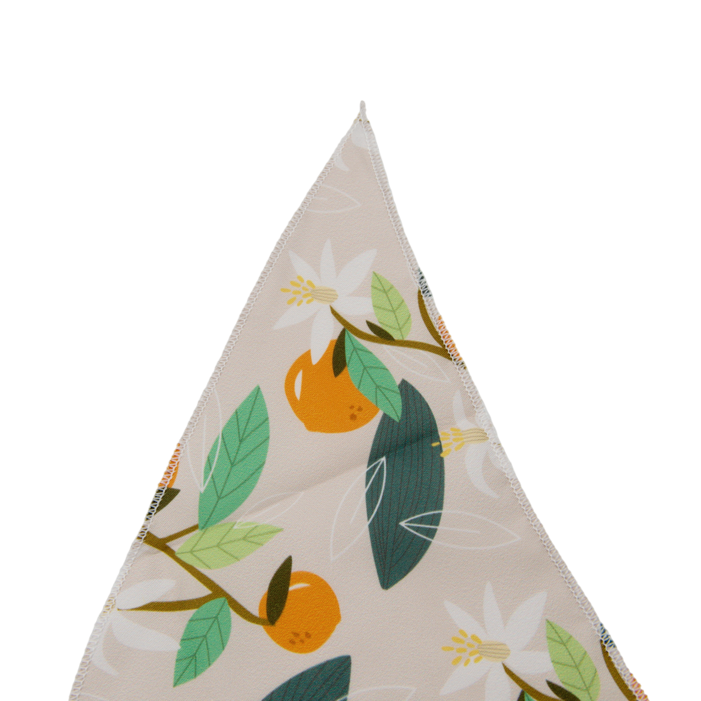 Fresh Fruit Dog Bandana(Orange)