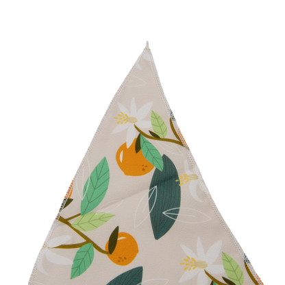 Fresh Fruit Dog Bandana(Orange)