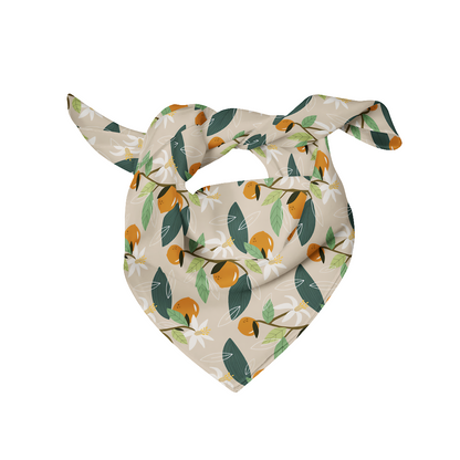 Fresh Fruit Dog Bandana(Orange)