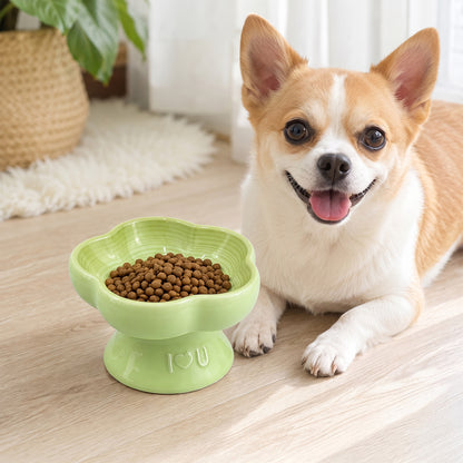 Flower Ceramic Pet Bowl for Cats and Small Dogs, Raised Pet Feeding Bowl with Wide Opening, Food Grade Ceramic Cat Bowl for Kittens, Puppies and Small Pets, Cute Elevated Food and Water Dish-green