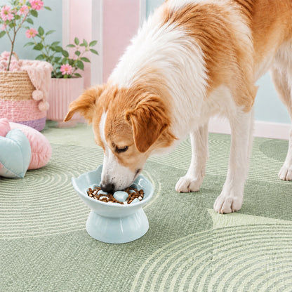 Cat & Dog Slow Feeder Bowl, Elevated Ceramic Pet Bowl, Anti-Gulping Slow Eating Bowl for Small & Medium Cats and Dogs, 5.9 Inch, Easy to Clean Blue