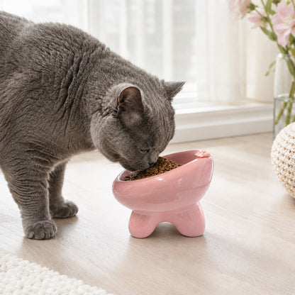 Ceramic Cat Bowl for Small Dogs and Cats: Cute Elevated Pet Food Bowl with Wide Opening, Easy Clean Feeding Dish for Kittens, Puppies and Small Pets-Pink