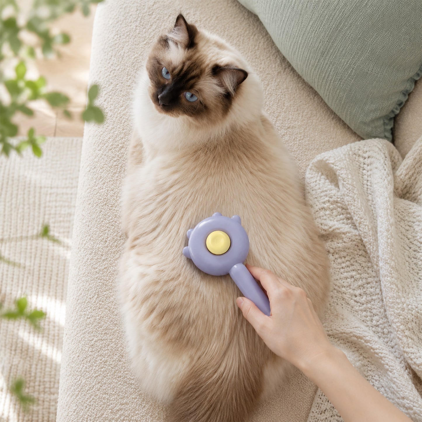 Cat & Dog Grooming Brush, Pet Hair Removal Brush for Long & Short Hair, Easy Clean Deshedding Brush for Cats and Dogs, Pet Grooming Comb for Loose Fur - Purple