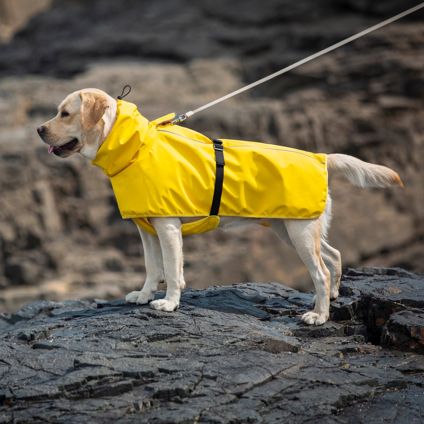 Waterproof Dog Raincoat for Large Dogs(Yellow)