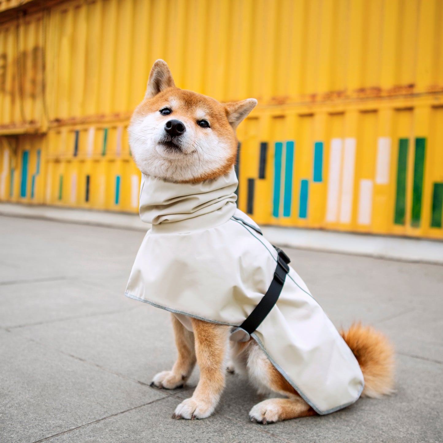 Waterproof Dog Raincoat for Large Dogs(Beige)