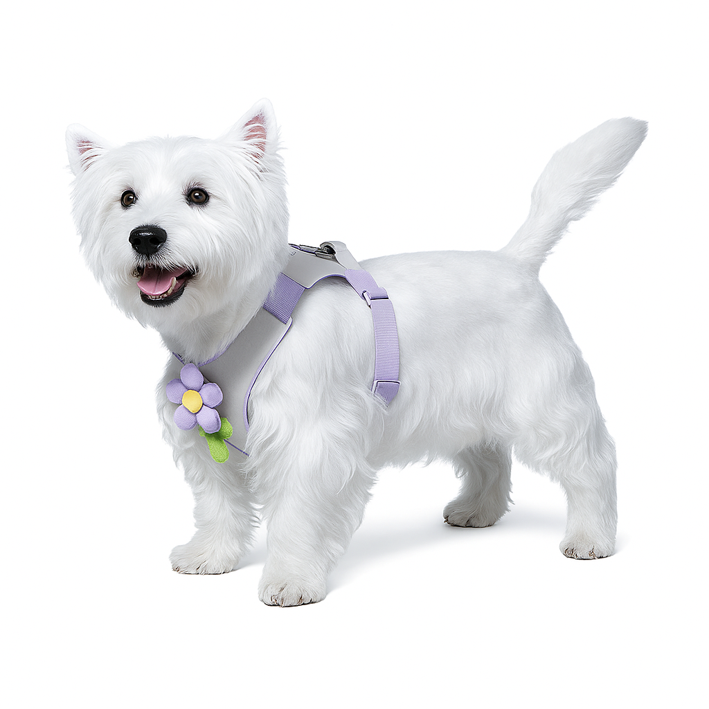 Dopamine Lightweight Dog Harness & Leash Set For Small & Medium dogs (Khaki)