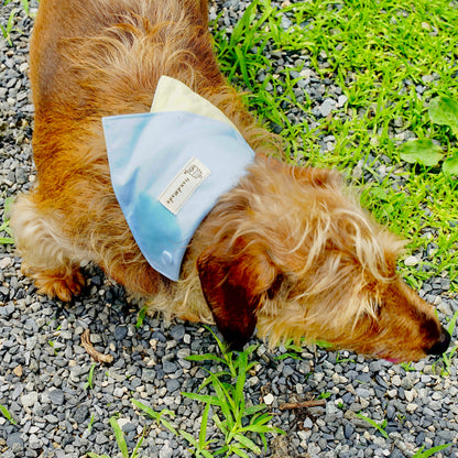 Macaron Dog Bandana(Light Blue)