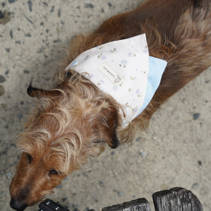 Macaron Dog Bandana(Blue Floral)