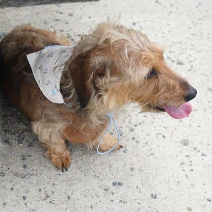 Macaron Dog Bandana(Blue Floral)