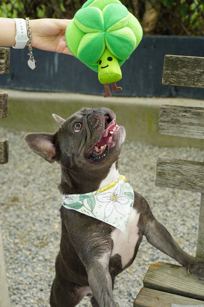 Broccoli Snuffle Ball Dog Toy