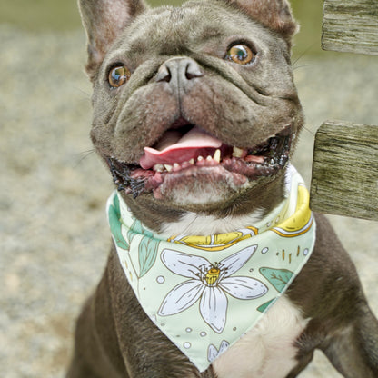 Fresh Fruit Dog Bandana(Lemon Flower)