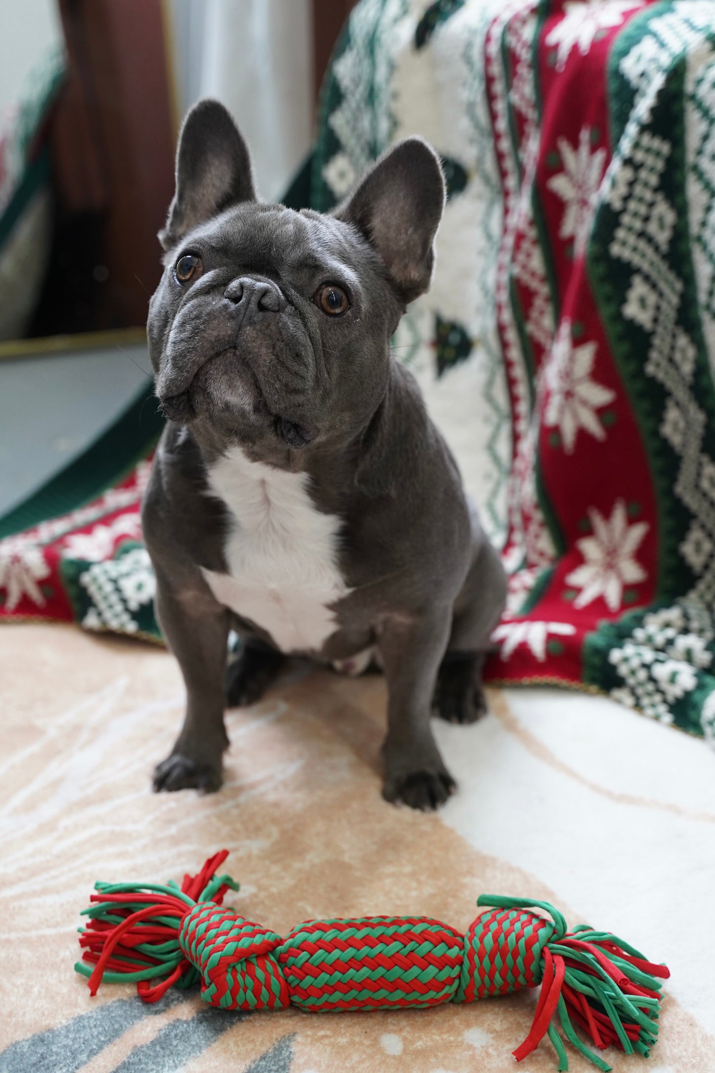 Christmas Sweet Candy Knot Toy for Dogs