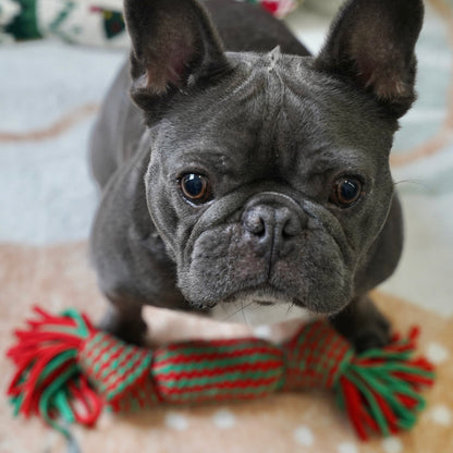 Christmas Sweet Candy Knot Toy for Dogs