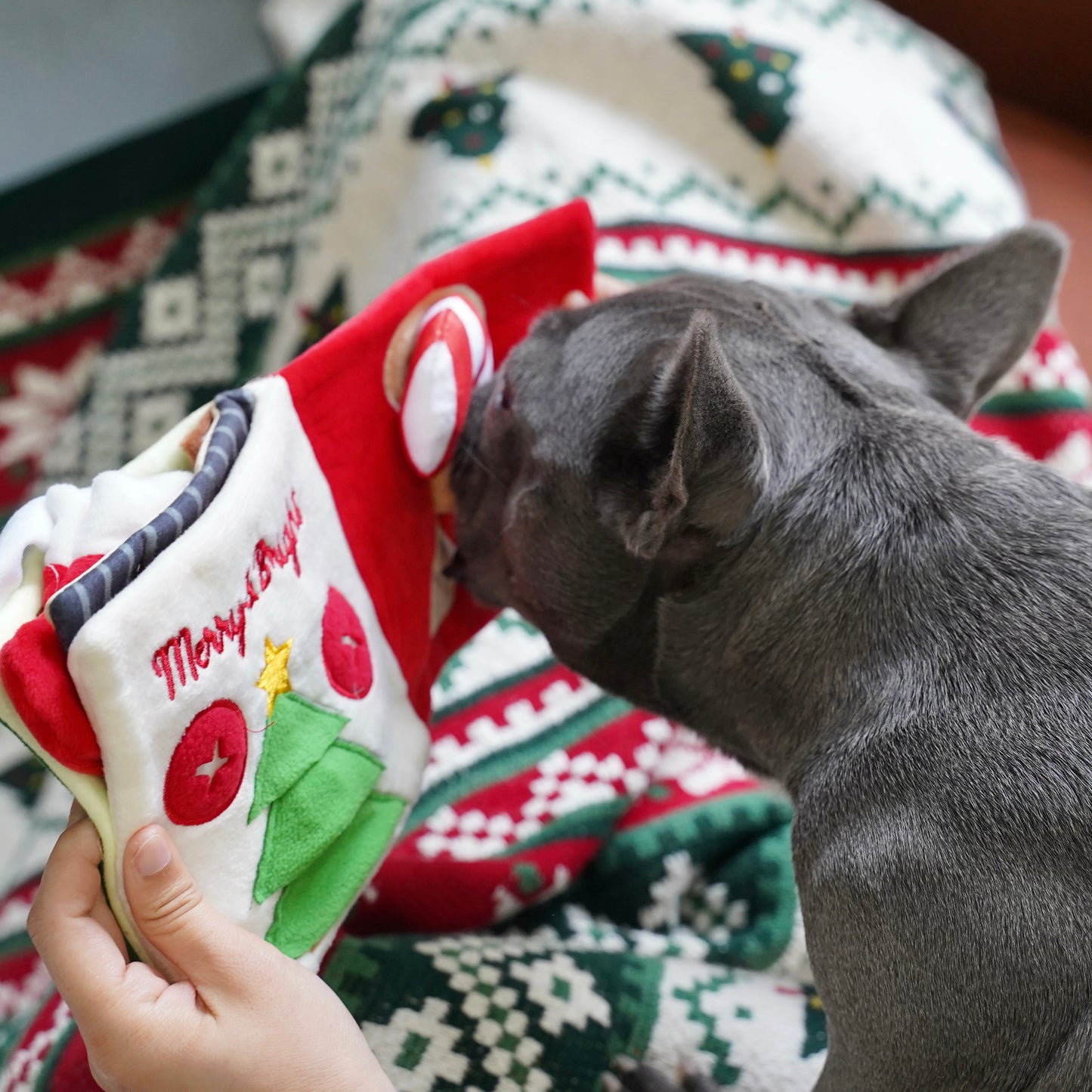 Santa’s Snuffle Storybook for Dogs