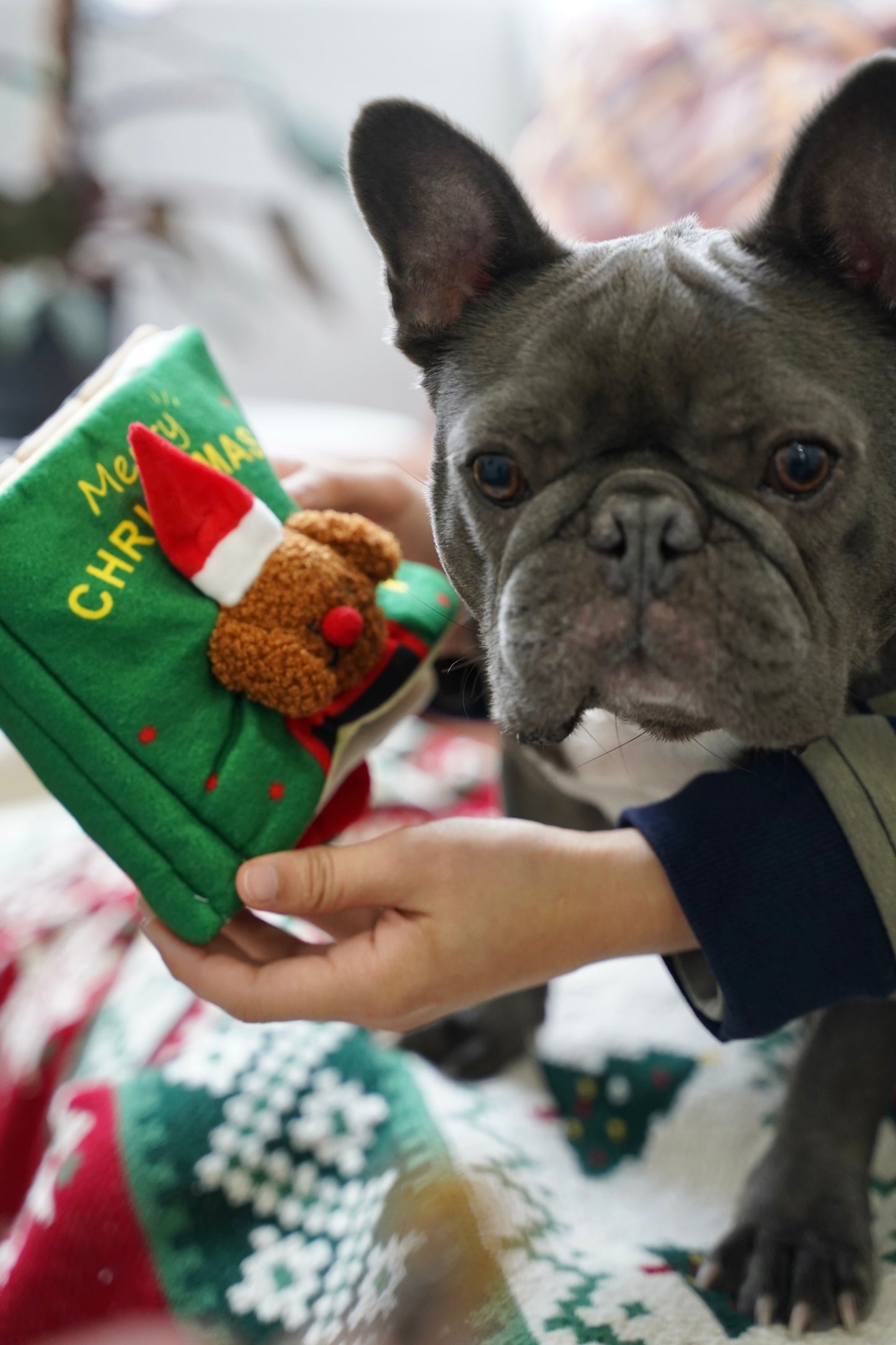 Santa’s Snuffle Storybook for Dogs