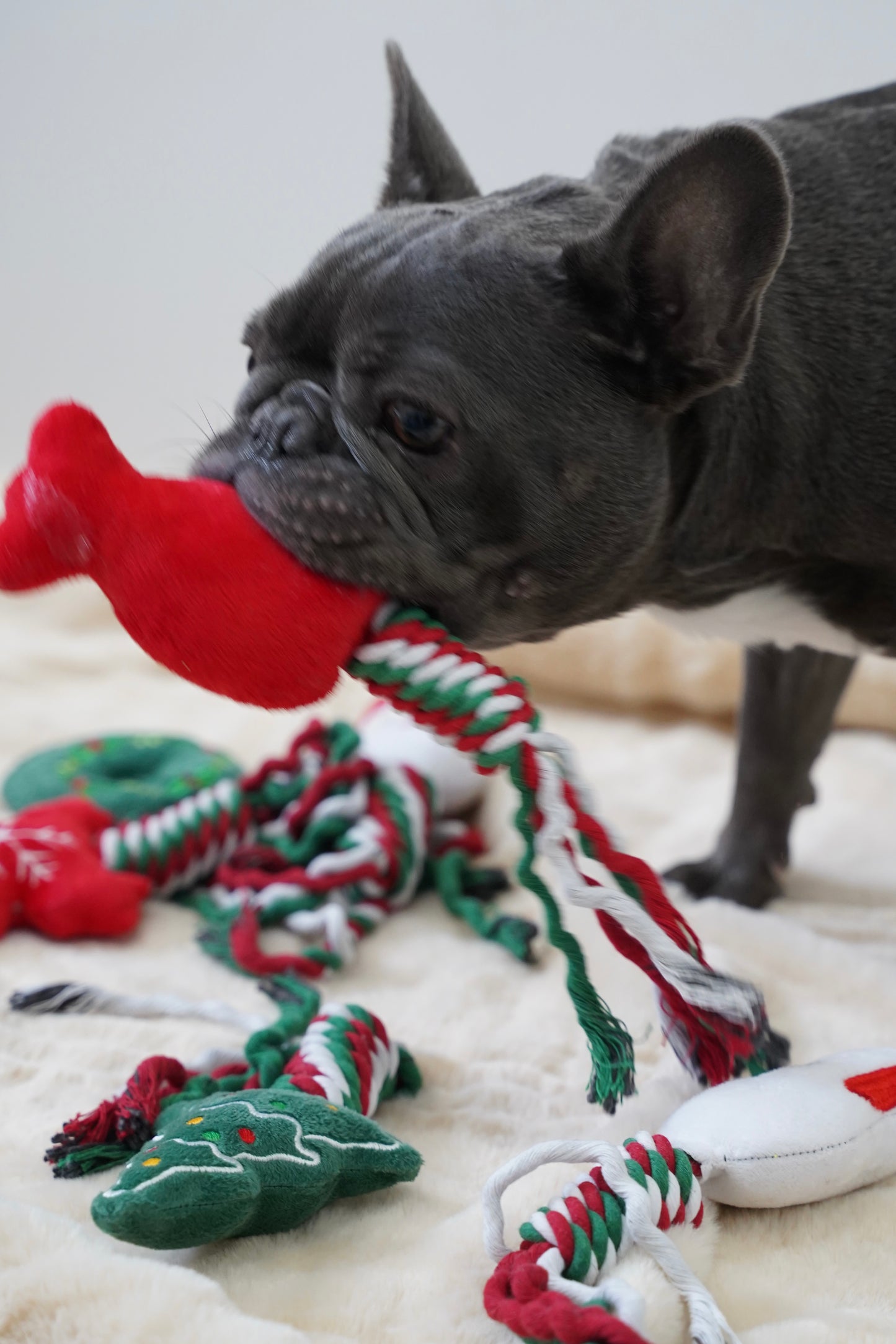 Knot Rope Tug Dog Toy, Christmas Collection(Snowman)