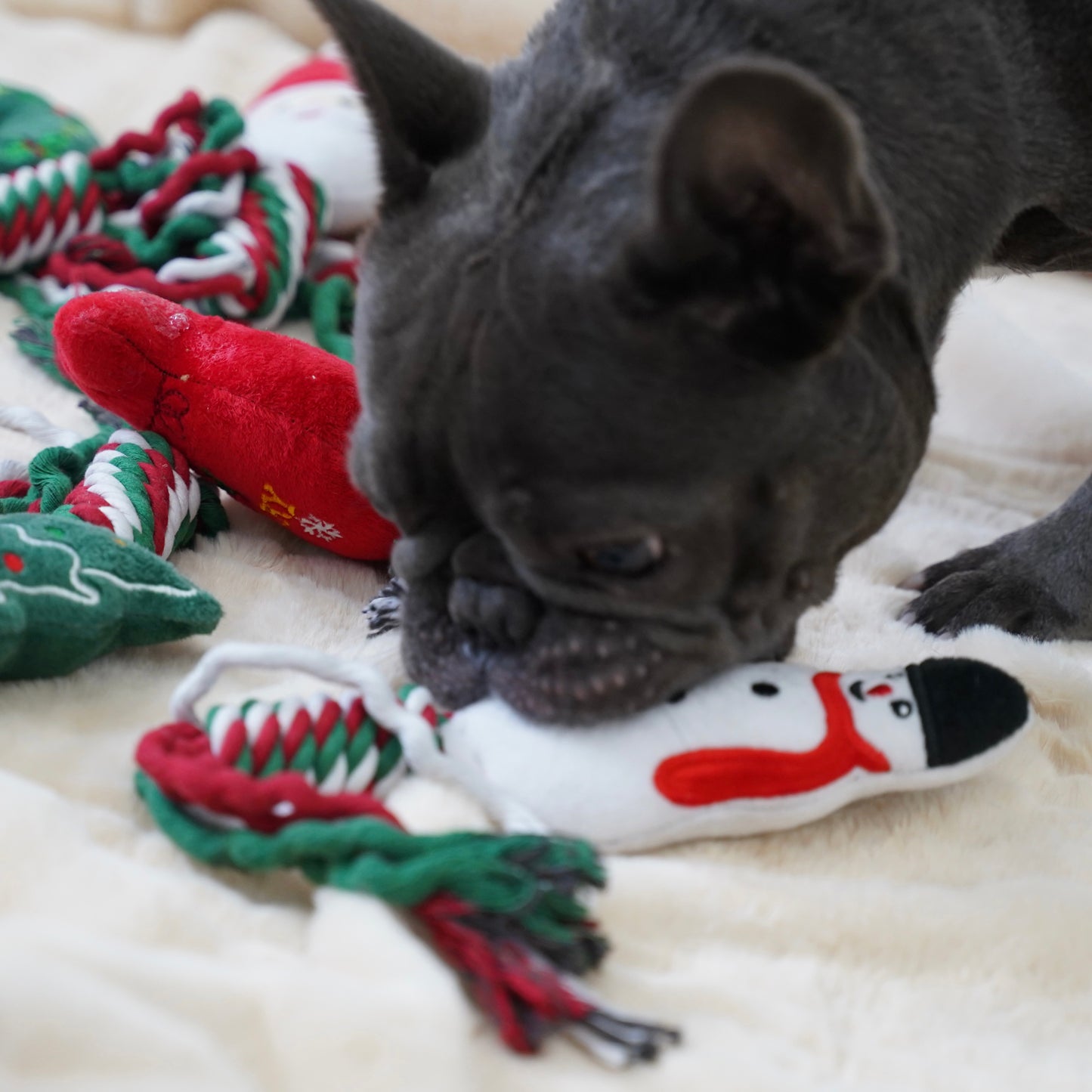 Knot Rope Tug Dog Toy, Christmas Collection(Snowman)