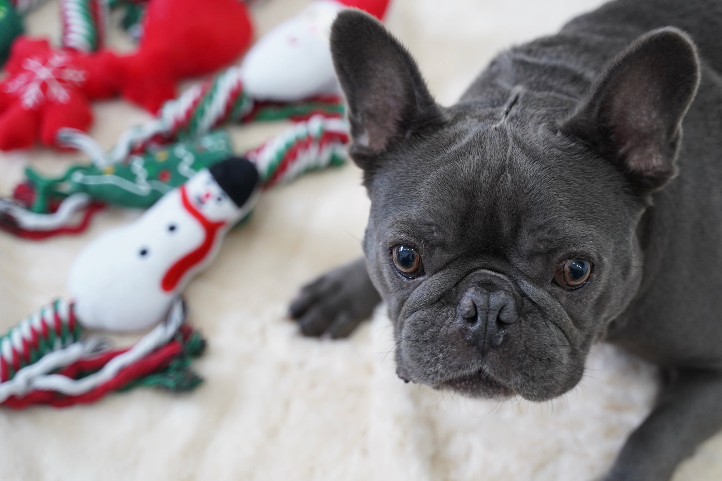 Knot Rope Tug Dog Toy, Christmas Collection(Snowman)