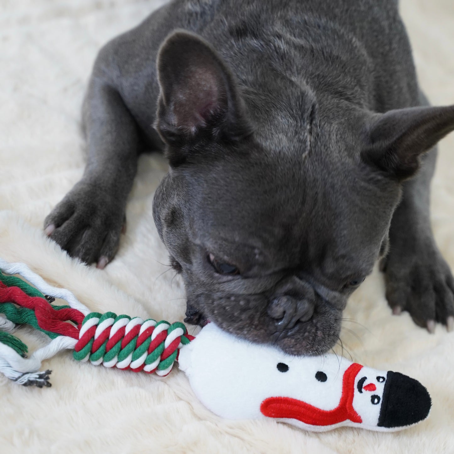 Knot Rope Tug Dog Toy, Christmas Collection(Snowman)