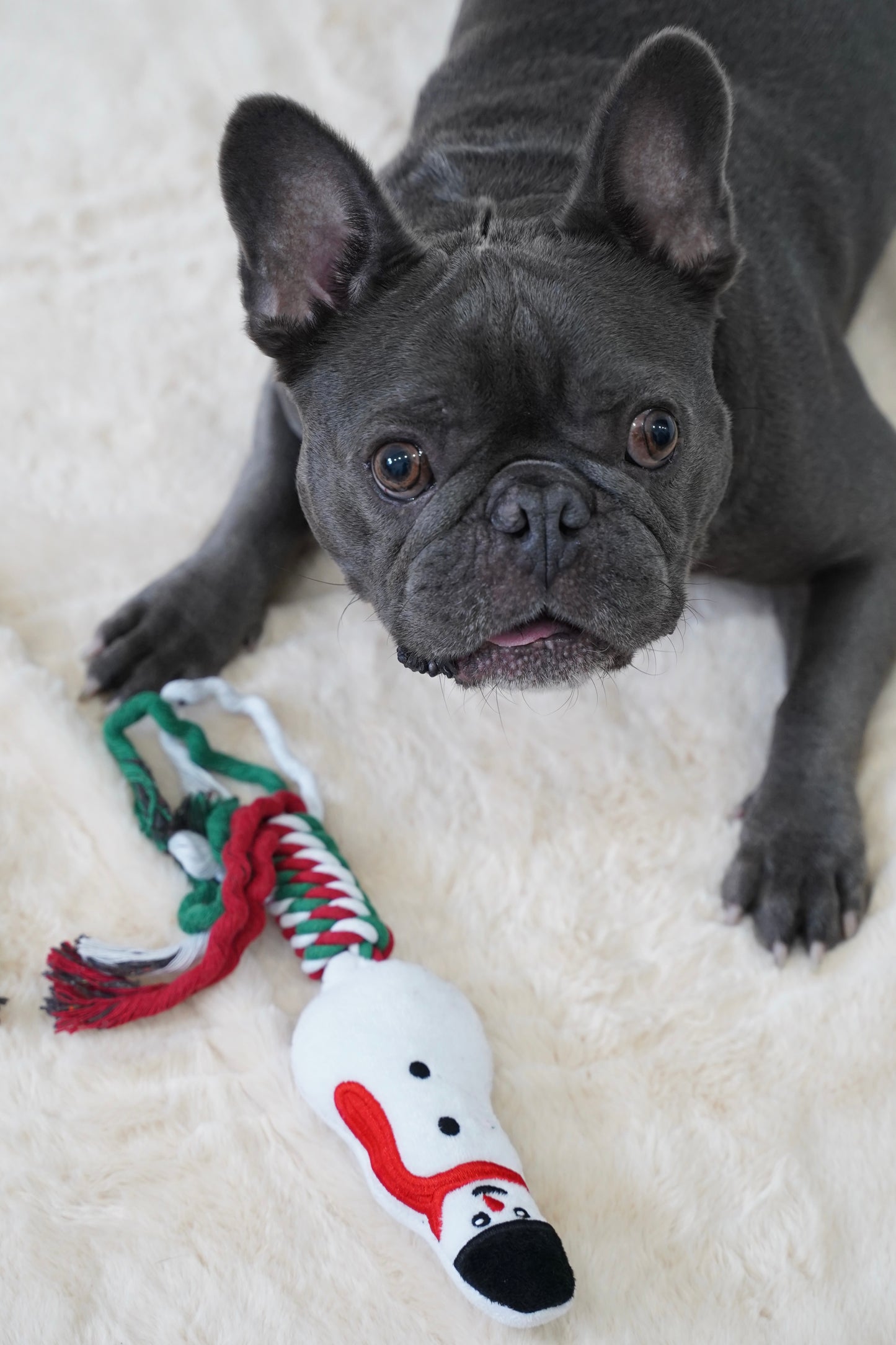 Knot Rope Tug Dog Toy, Christmas Collection(Snowman)