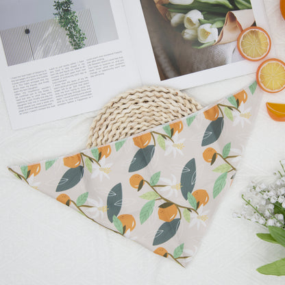 Fresh Fruit Dog Bandana(Orange)