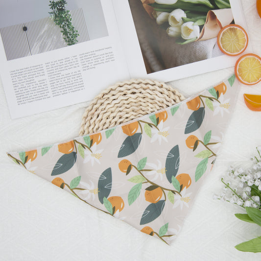 Fresh Fruit Dog Bandana(Orange)