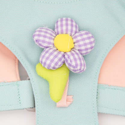 Dopamine Lightweight Dog Harness & Leash Set For Small & Medium dogs (Mint Green)