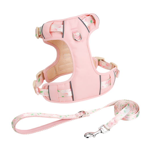 Dog Summer Fruit Breathable Harness & Leash Set(Peach Pink)