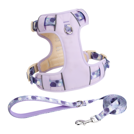 Dog Summer Fruit Breathable Harness & Leash Set(BlueBerry Purple)