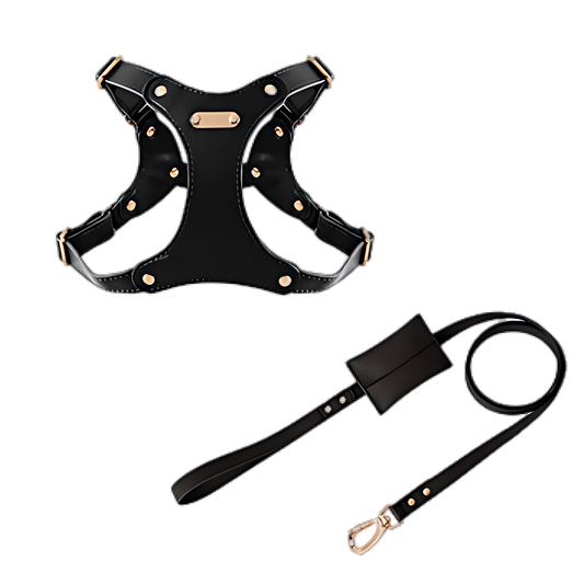 Medium Dog PU Leather Harness & Leash Set (Fits Chest 37-62cm)(Twinkle Black)