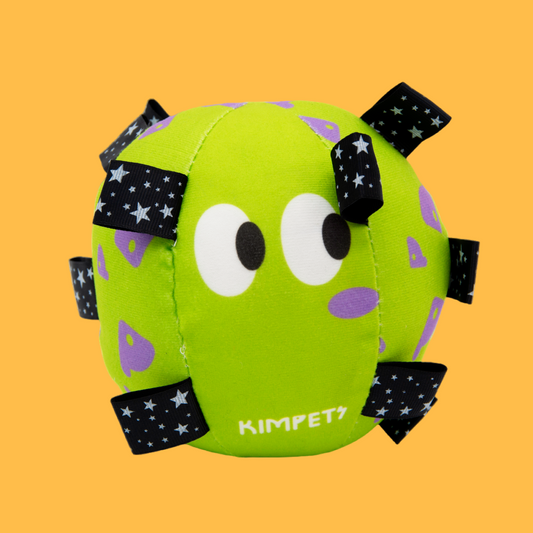 Big Eyed Grab Tabs Pup Ball Toy (Zesty Lime)