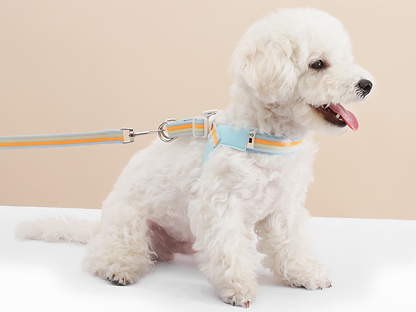 Rainbow V‑Harness with Mini Bag(Sky Blue)