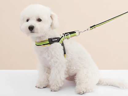 Rainbow V‑Harness with Mini Bag(Lime Green)