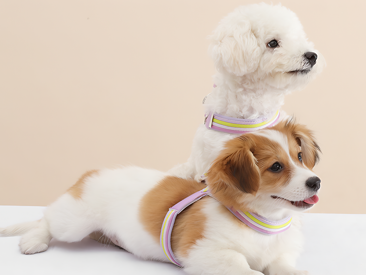 Rainbow V‑Harness with Mini Bag(Lavender Purple)