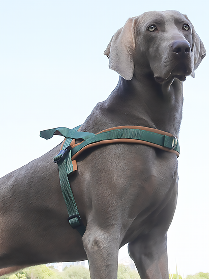 Heavy Duty Tactical Dog T-Harness for Medium & Large Dogs (Mocha Green)