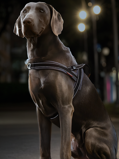 Heavy Duty Tactical Dog T-Harness for Medium & Large Dogs (Midnight Black)