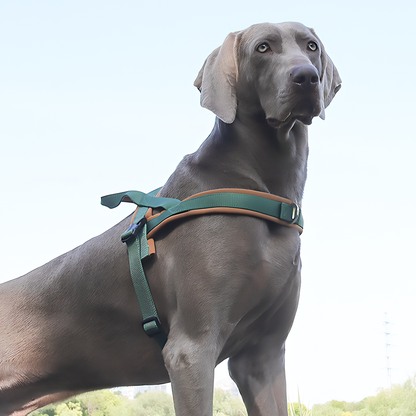 Heavy Duty Tactical Dog T-Harness for Medium & Large Dogs (Mocha Green)