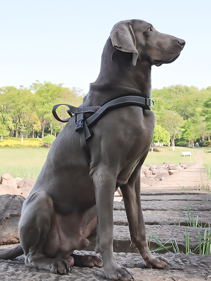 Heavy Duty Tactical Dog T-Harness for Medium & Large Dogs (Galaxy Gray)