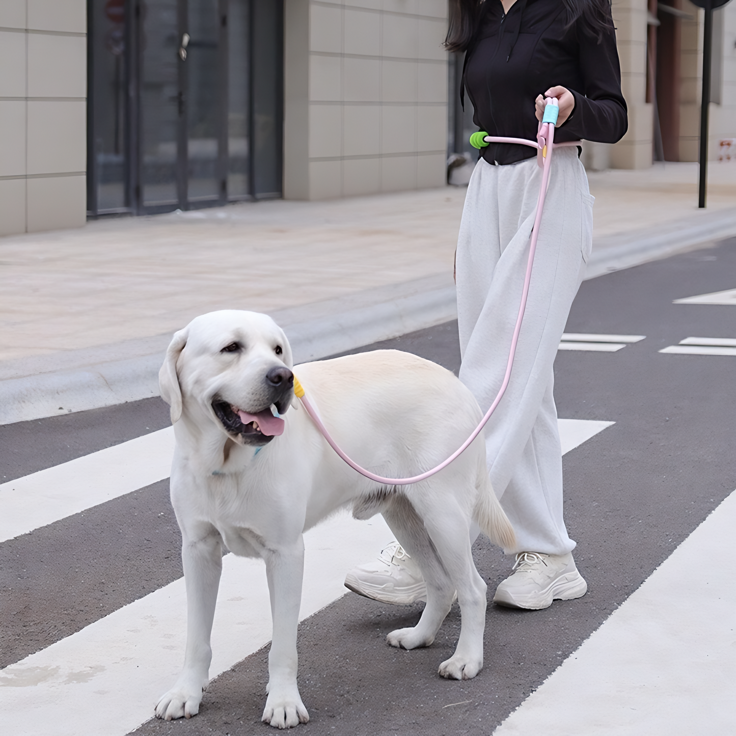 Neon-Color Heavy Duty Dog Leash with Comfort-Padded Handle (Sakura Pink)