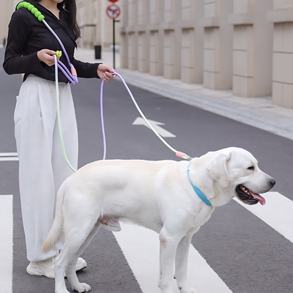 Neon-Color Heavy Duty Dog Leash with Comfort-Padded Handle (Violet-Green Ombré)