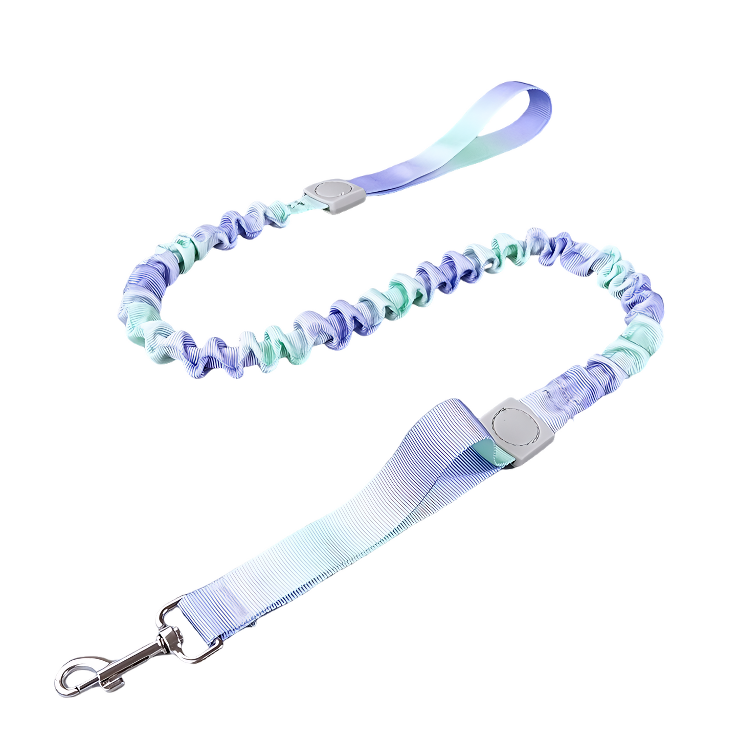 Dual Handles Bungee Dog Leash, Ombré Color (Violet-Green Ombré)