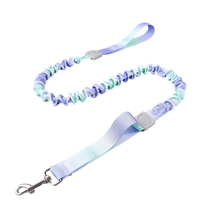 Dual Handles Bungee Dog Leash, Ombré Color (Violet-Green Ombré)