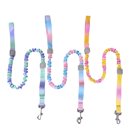 Dual Handles Bungee Dog Leash, Ombré Color (Violet-Green Ombré)