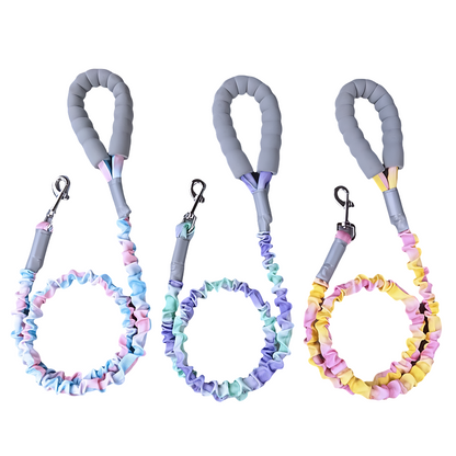 Ombré Color Shock-Absorbing Dog Leash with Padded Handle(Violet-Green Ombré)