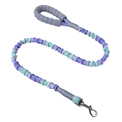 Ombré Color Shock-Absorbing Dog Leash with Padded Handle(Violet-Green Ombré)